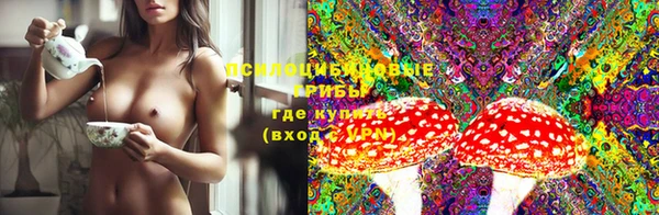 молекула духа Алексин